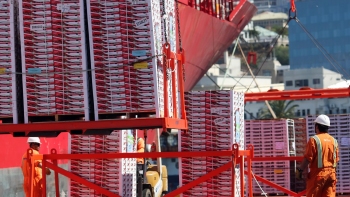 Chile y Vietnam firmarán pacto de libre comercio en noviembre