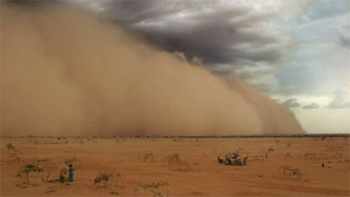 Científicos relacionaron el polvo del desierto con las epidemias de meningitis en Africa