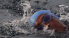 Nadadora suspendió su travesía de Cuba a Florida
