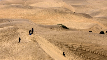 Organización interpuso recurso para frenar cierre de dunas en Concón