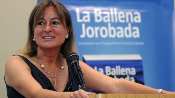 Gobierno estudiará declarar santuario de la naturaleza todas las dunas de Concón