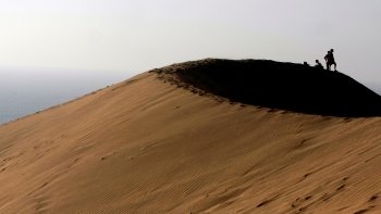 Reconsa: Las dunas de Concón deben ser cerradas para su protección