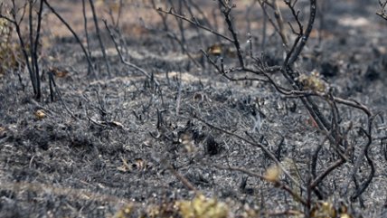   Testigo del comienzo del incendio en Torres del Paine: 