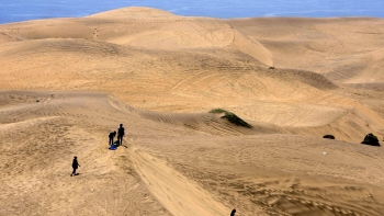 Empresa dueña de dunas de Concón descartó influencia política en cambios al santuario