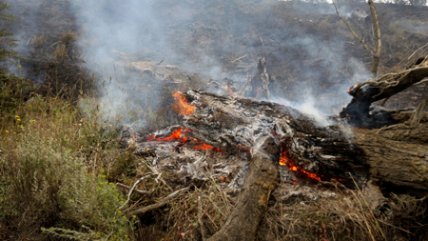   Guía turístico: El Gobierno está mintiendo sobre destrucción en Torres del Paine 