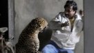 Pánico en la India por el ataque de un leopardo