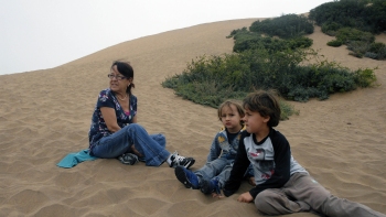 Proyecto de acuerdo busca declarar las dunas de Concón como santuario de la naturaleza