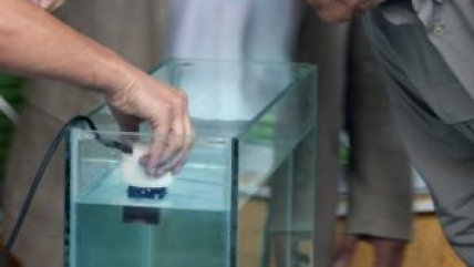   Ministro promueve el uso de cobre para limpiar piscinas 