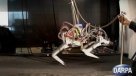 Este es el robot de cuatro patas más rápido del mundo