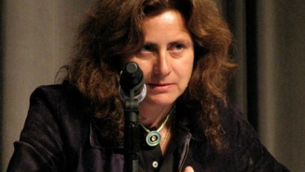 Abogado y caso Karen Atala: La discriminación la produjo la sentencia de la Corte Suprema