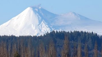 Parque Nacional Conguillío fue evacuado ante actividad del volcán Llaima