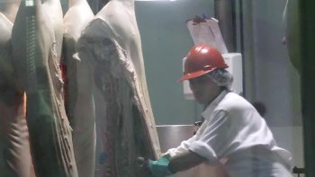 Gobierno anunció alerta sanitaria y cierre temporal de la planta Agrosuper