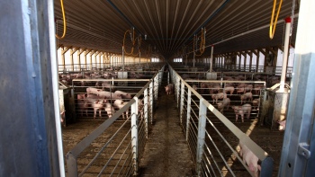 Alcalde de Vallenar: No hubo reacción del Gobierno para solucionar la crisis en Freirina