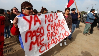 Vecinos de Freirina intentarán que traslado de cerdos se haga en menos de seis meses