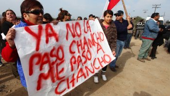 Intendente de O'Higgins desestimó eventuales problemas por traslado de cerdos de Freirina