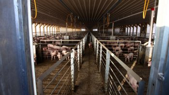 Intendente de Atacama: Dirigentes de Freirina quieren que el Gobierno pierda credibilidad