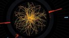 Así fue el hallazgo del bosón de Higgs