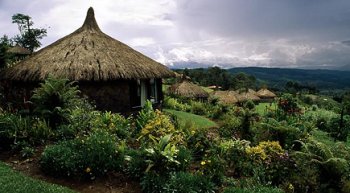   Secta caníbal mató y se comió a siete personas en Papúa Nueva Guinea 