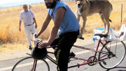 Fiscal relató el crimen del anticuario que decapitó a una clienta en Lolol