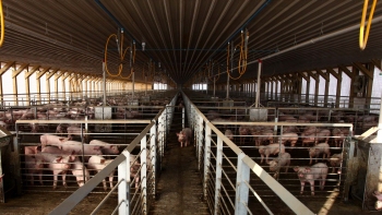 Dirigente de Freirina: Recurso de Agrosuper es una muestra de desesperación