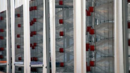   Municipio inauguró fachada de centro de reciclaje en La Reina 