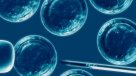 Investigador UC: Nuevos Nobel de Medicina dan respuesta de gran trascendencia