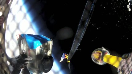   Un pollo de goma es el nuevo astronauta de la NASA 