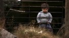 Unicef: Los niños pobres en Chile ven sus derechos más vulnerados