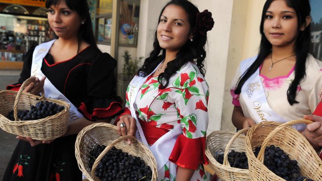 Sepa con qué productos Chile lidera las exportaciones mundiales