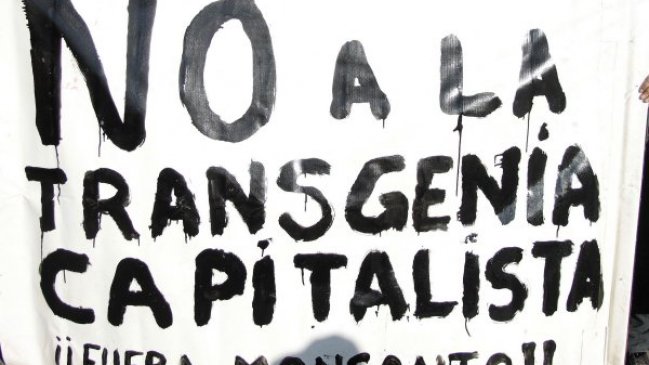 Perú prohibió ingreso de transgénicos durante 10 años