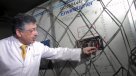 Llegaron 250 mil dosis de la vacunas contra la meningitis W135