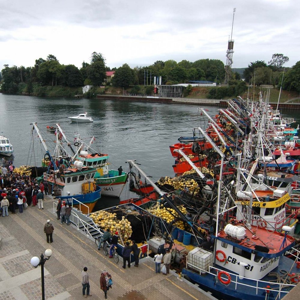 Sindicatos ante la Ley de Pesca: No vendan nuestro mar
