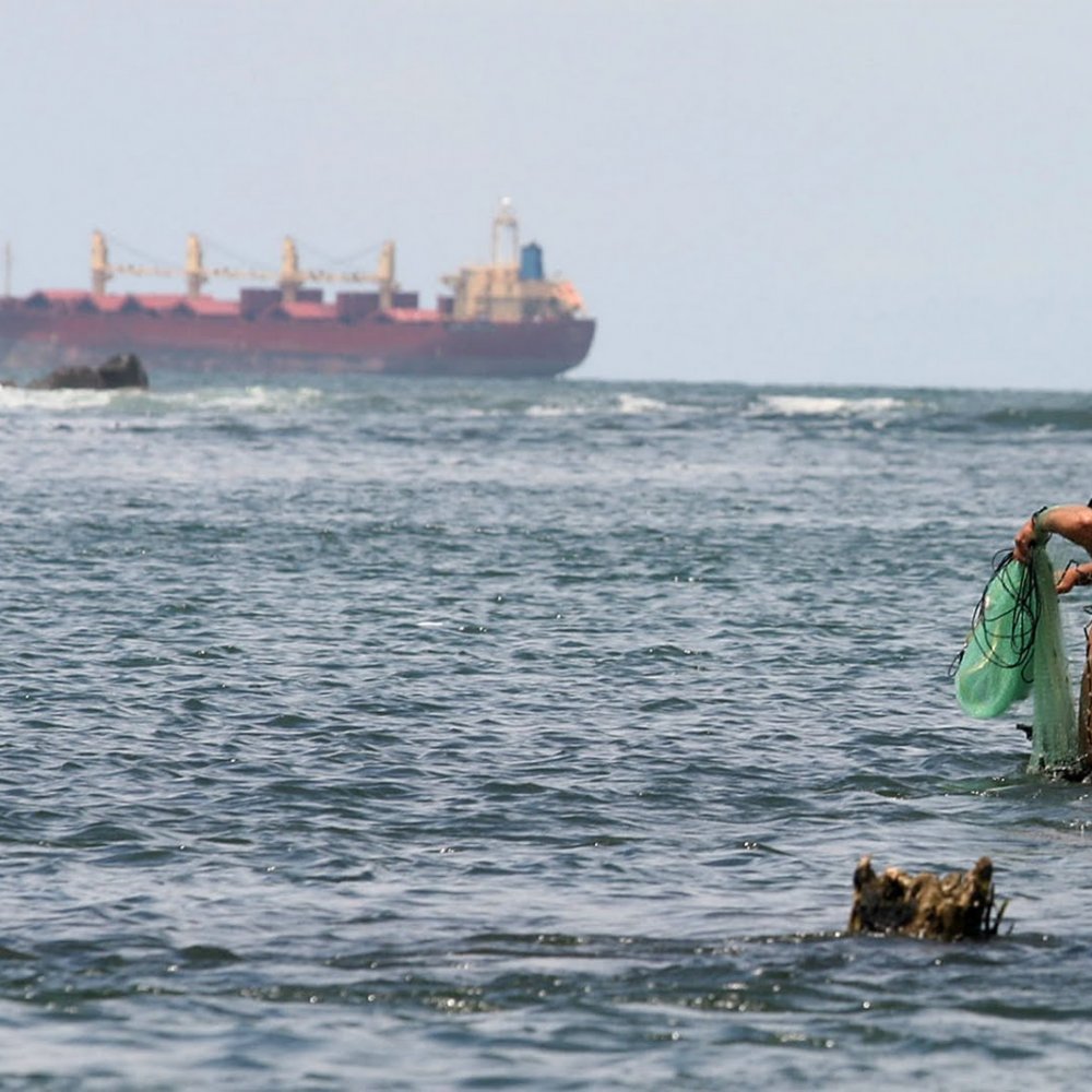 Australia vetó por dos años las actividades de los grandes pesqueros de arrastre