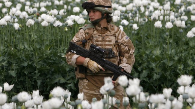 Irán acusó a la OTAN de favorecer la producción de droga en Afganistán