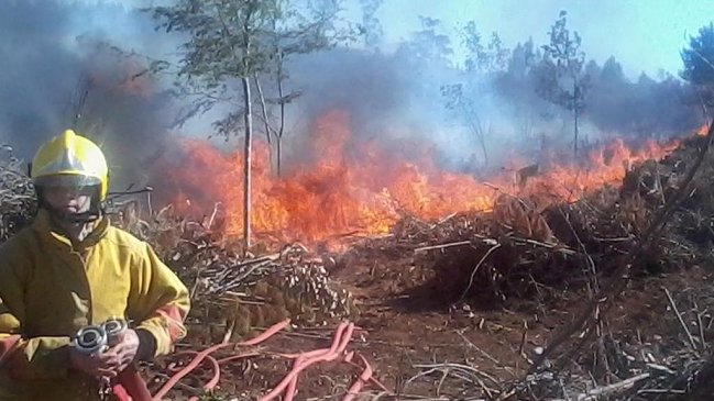 Onemi declara alerta roja por incendio forestal en el Biobío