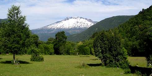 Fumarolas en volcán Callaqui son 