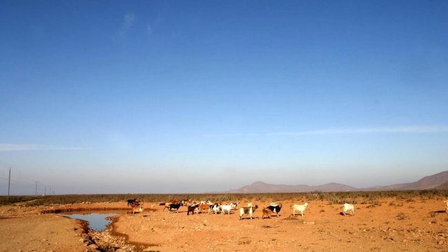 Encuesta en Bolivia: El 43 por ciento apoya diálogo con Chile por Silala