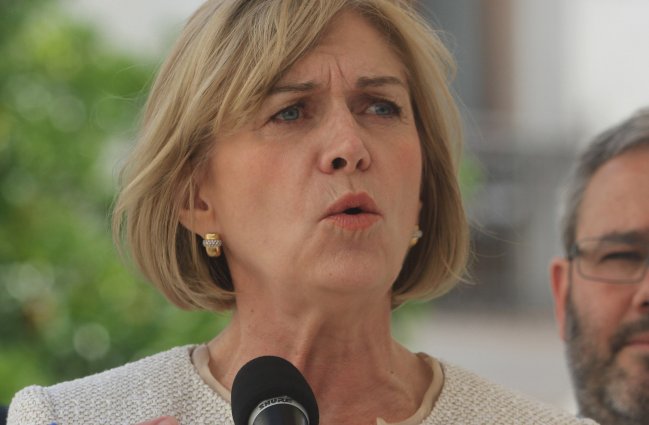 Ministra Matthei: Da la sensación que la Cámara de Diputados da lo mismo