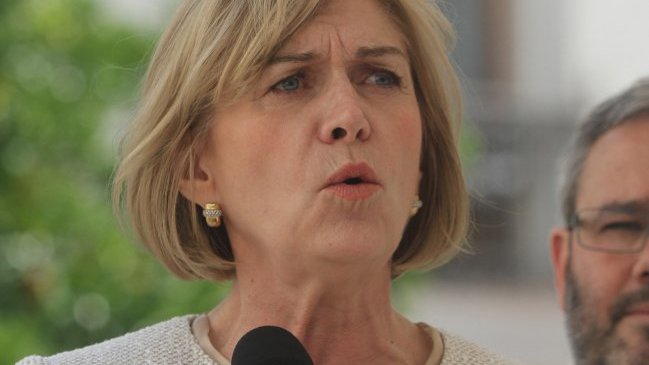 Ministra Matthei: Da la sensación que la Cámara de Diputados da lo mismo