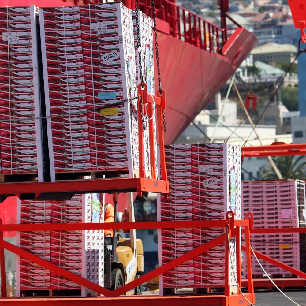 Chile será el país de la OCDE con mayor crecimiento en 2012