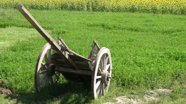 Cinco jóvenes campesinas fueron violadas en Pakistán tras exigir sus salarios