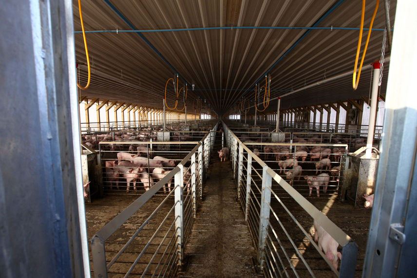 Dirigente de Freirina: Tomaremos la defensa de la salud y del territorio en nuestras manos