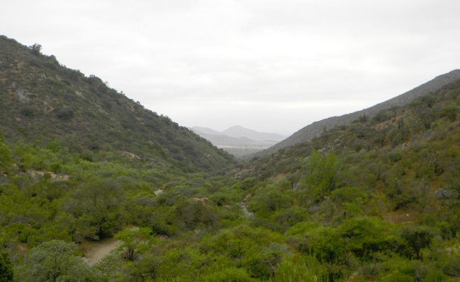 U. de Chile emprendió acciones legales por explotación minera ilegal en Maipú