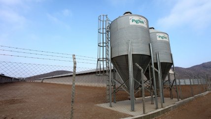 Vecinos de Freirina acusan a Agrosuper por división ante reapertura de planta