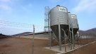 Sofofa salió en defensa de Agrosuper: Su planta es importante para el desarrollo nacional