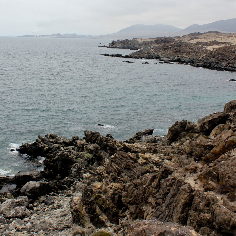 Alcalde de Huasco: Punta Alcalde no se instalará en nuestras costas