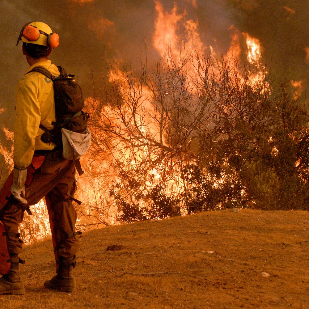 Conaf y Bomberos suman esfuerzos para controlar incendio forestal en Casablanca
