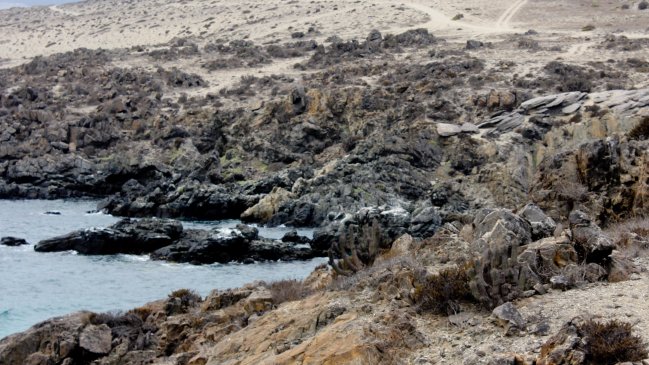 Empresarios de Atacama piden a Endesa dar 