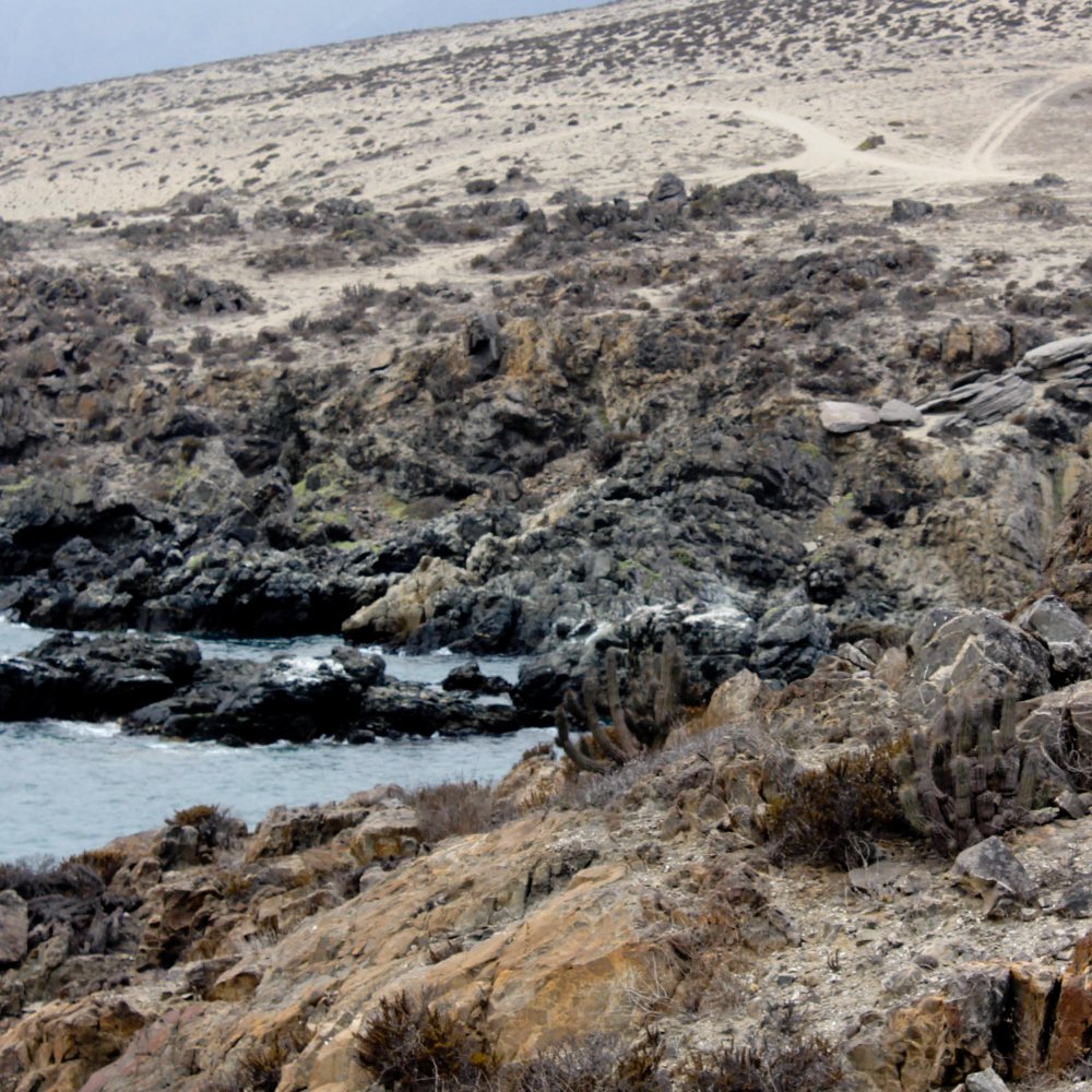 Empresarios de Atacama piden a Endesa dar 