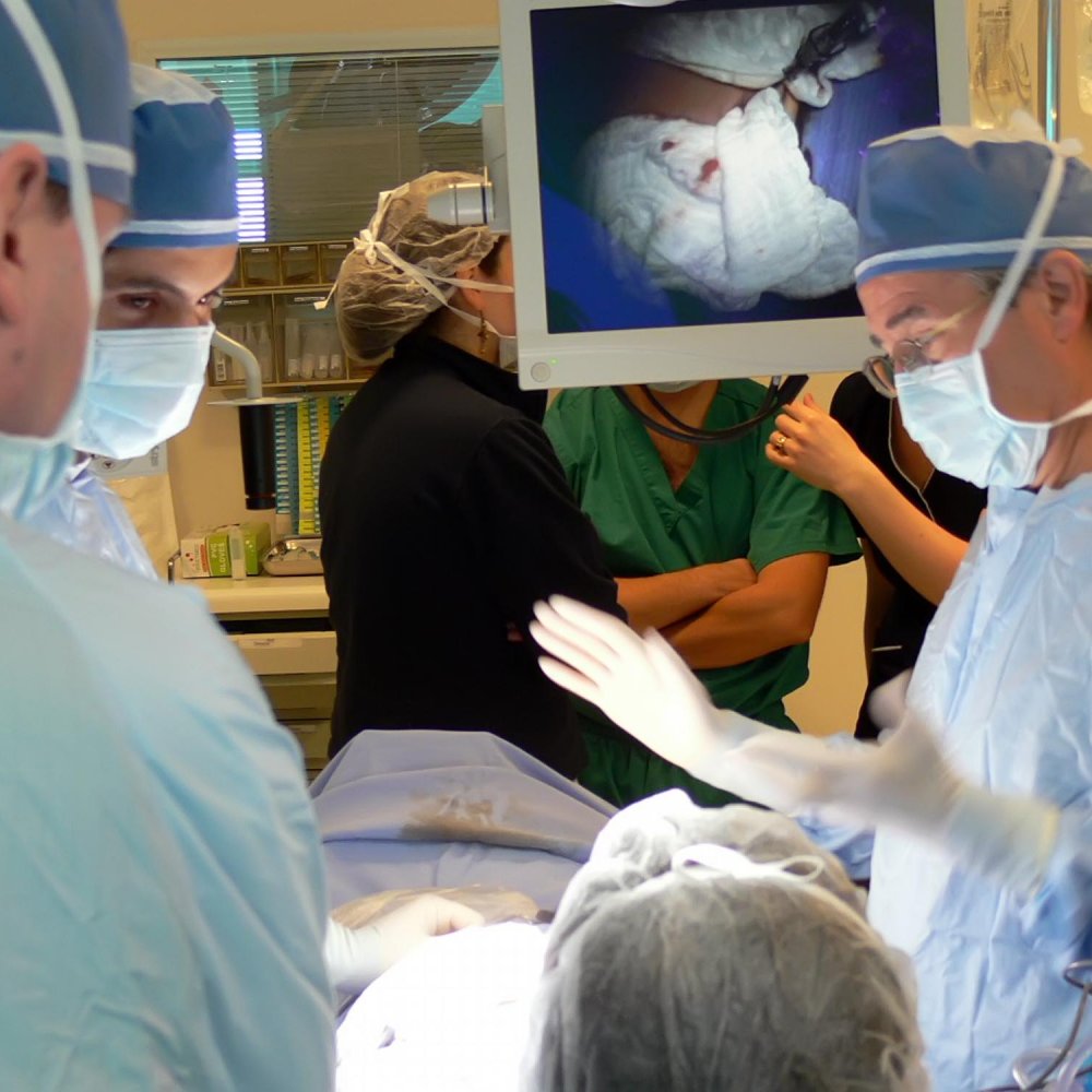 Hospital Van Buren realiza operación para separar a siamesas